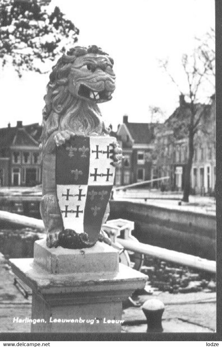 Nederland Holland Pays Bas Harlingen Harns  Leeuw In 1964 - Harlingen