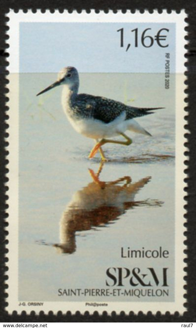 St Pierre Et Miquelon 2020 - Oiseaux, Limicole - 1 Val Neuf // Mnh - Unused Stamps