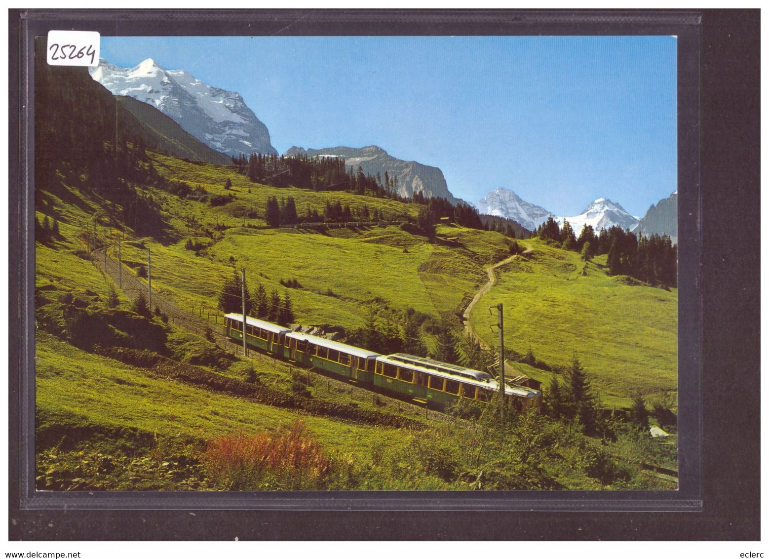 CARTE MODERNE - TRAIN - BAHN - CHEMIN DE FER WENGERNALP BAHN  - TB - Enge