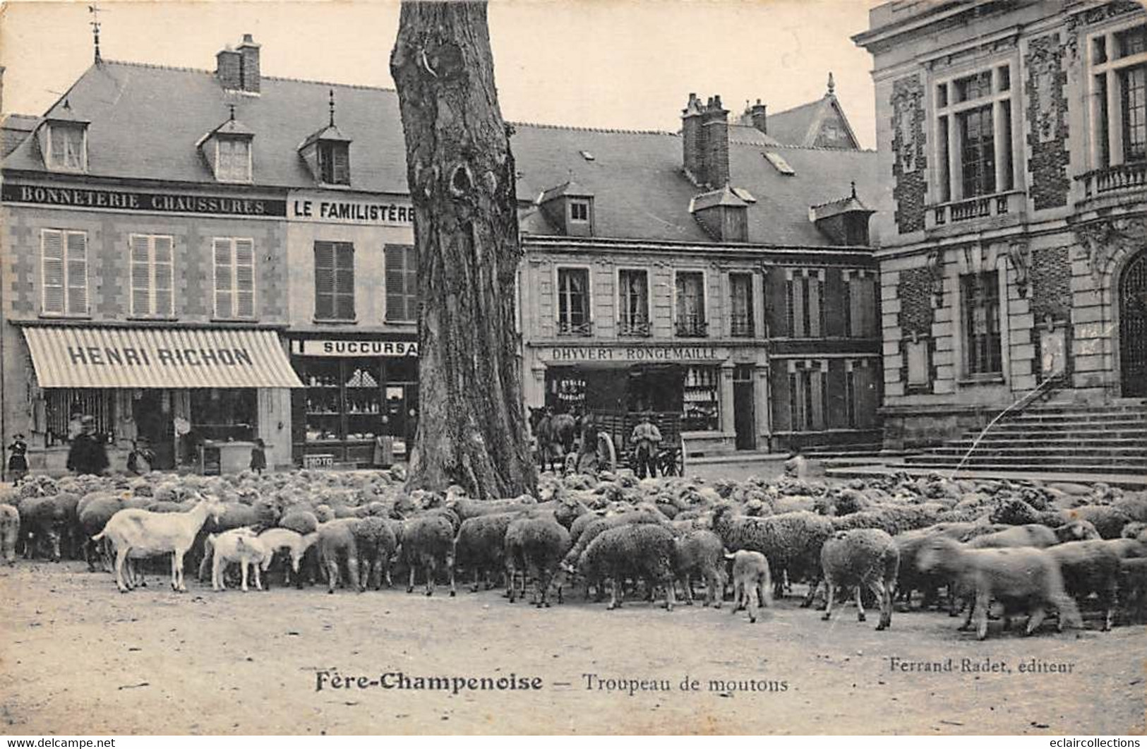 Fère-Champenoise        51          Troupeau De Moutons Sur Une Place.. Magasin Familistère        (voir Scan) - Fère-Champenoise