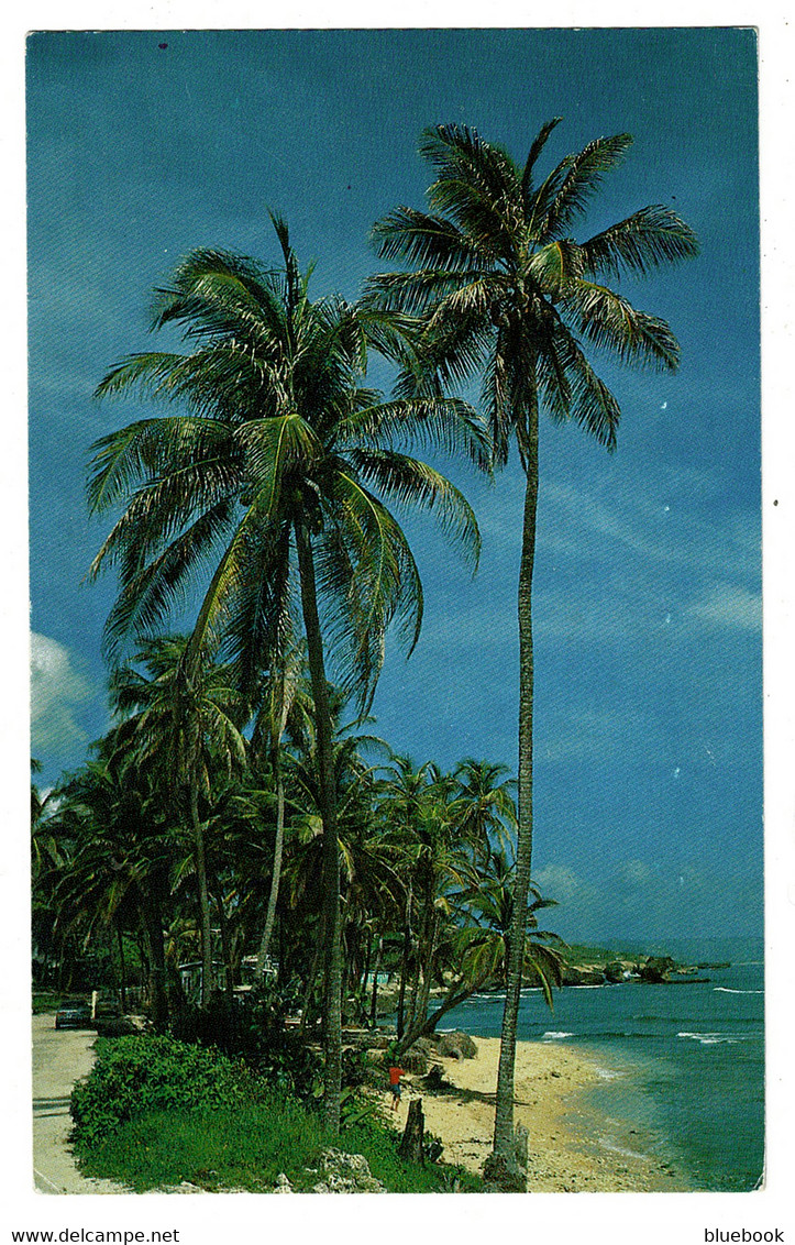 Ref 1467 - 1989 Barbados Postcard - Martin's Bay St. John - 50c Rate To UK - Barbados (Barbuda)