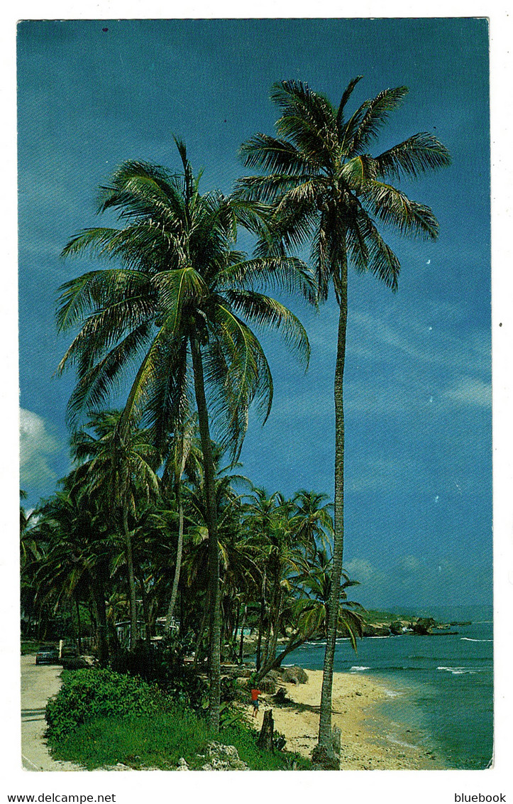 Ref 1467 - 1989 Barbados Postcard - Martin's Bay St. John - 50c Rate To UK - Barbades