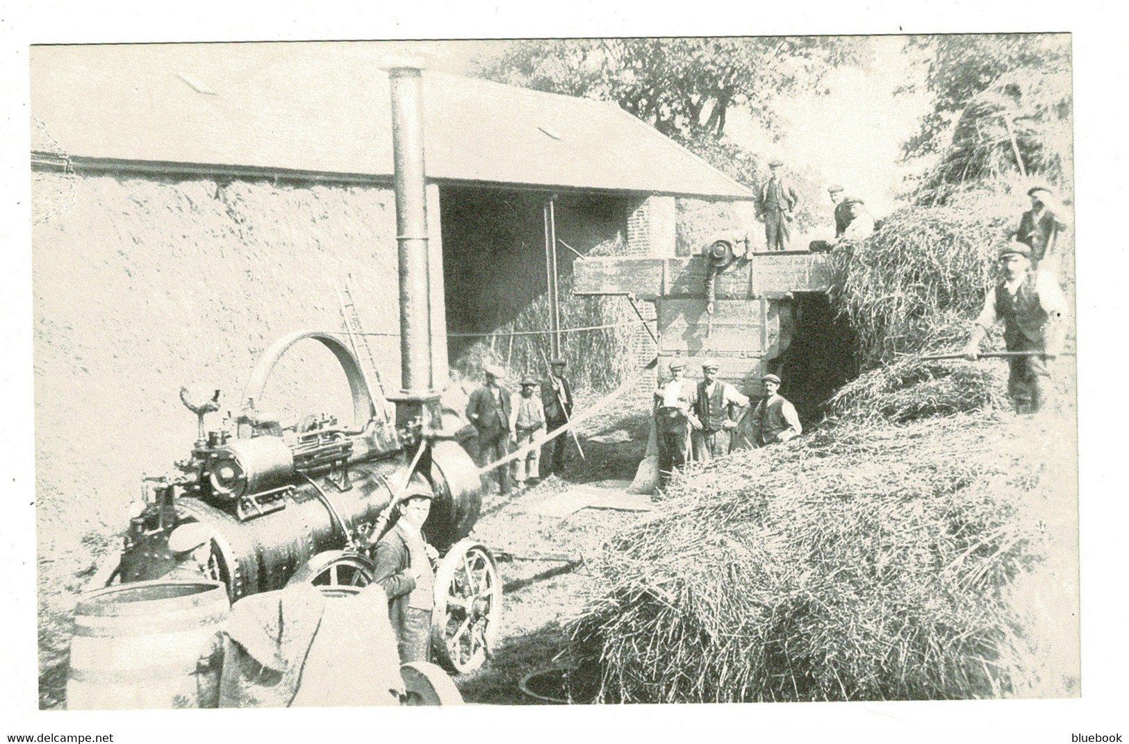 Ref 1468 - Reproduction Postcard - Threshing Machine At Star - Gaerwen Merionethshire Wales - Merionethshire