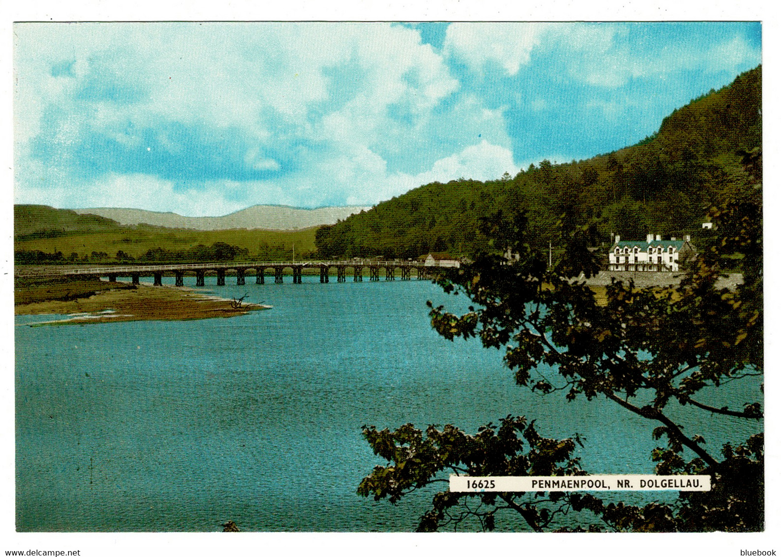 Ref 1468 - Postcard - Penmaenpool Near Dolgellau Dolgelly Merionethshire Wales - Merionethshire