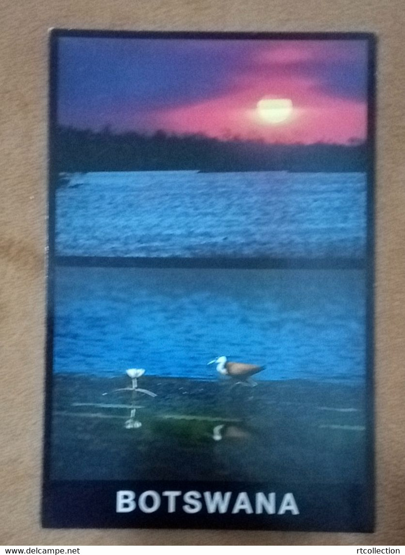 Botswana Postal Card Postcard Natural Scenery Sunset Seabirds Bird Animals View Landscape Fauna Sun - Botsuana