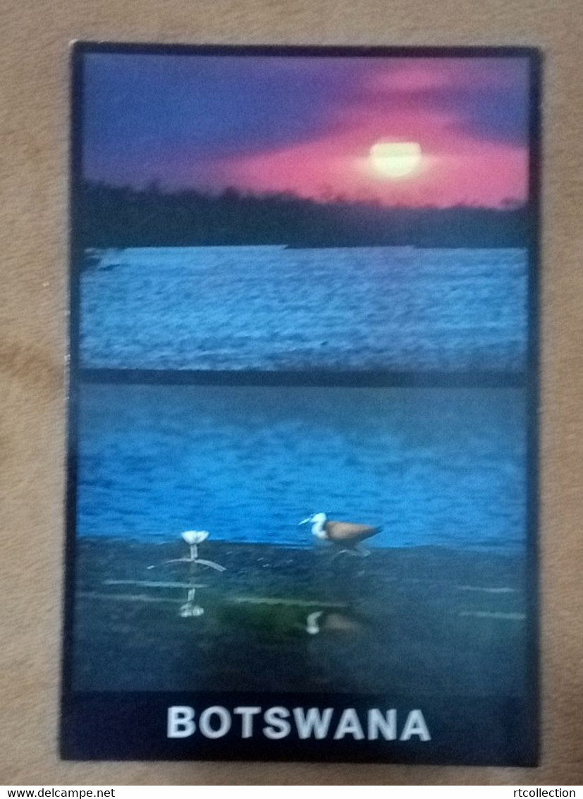 Botswana Postal Card Postcard Natural Scenery Sunset Seabirds Bird Animals View Landscape Fauna Sun - Botswana
