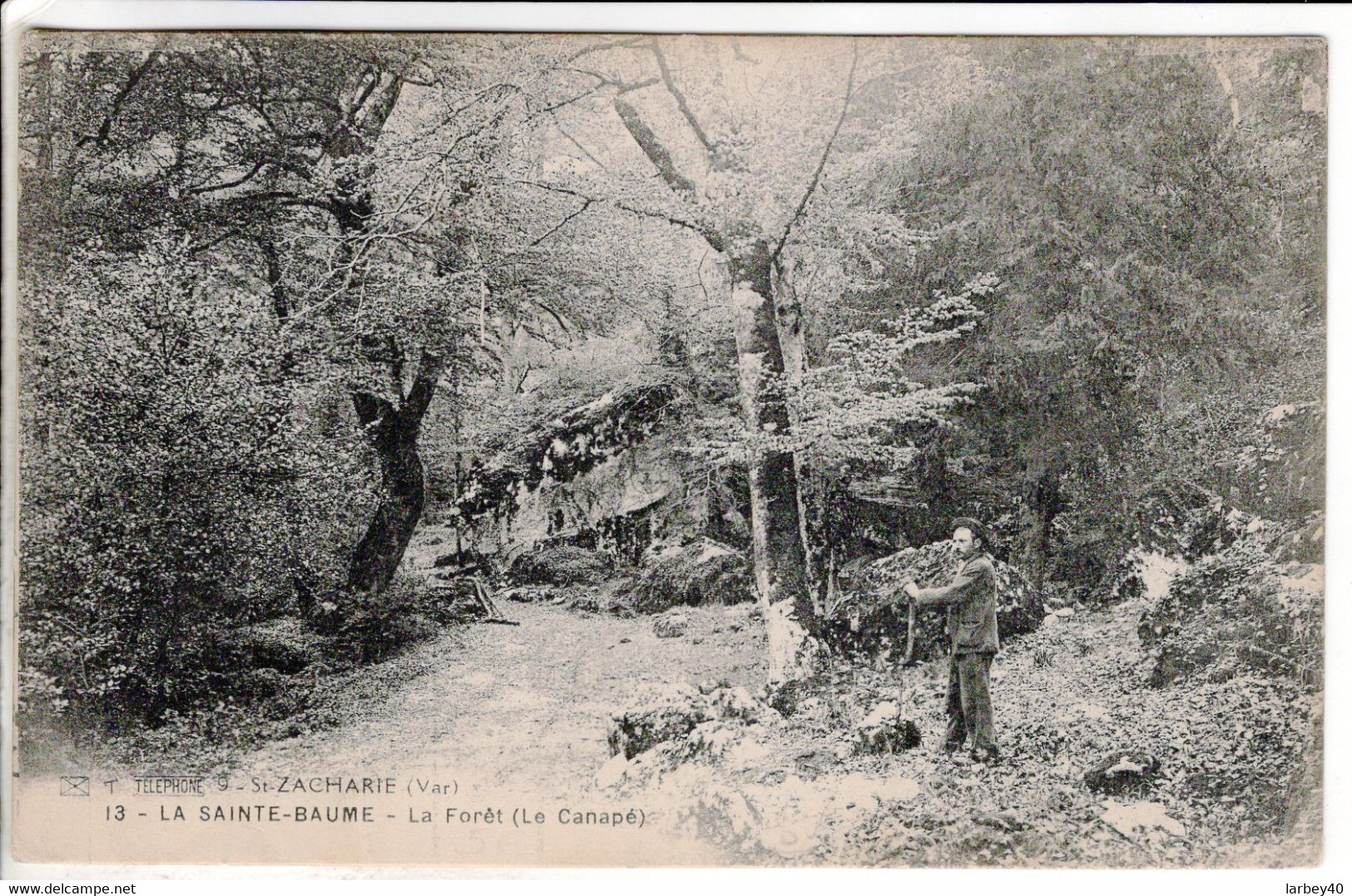 Cpa St-Zacharie-  - La Sainte-Baume- La Forêt (Le Canapé) - Saint-Zacharie