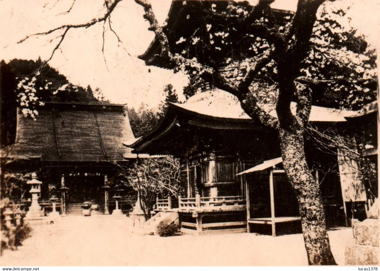 KOBE / MAYA TEMPLE / PHOTO 11 X8 - Kobe