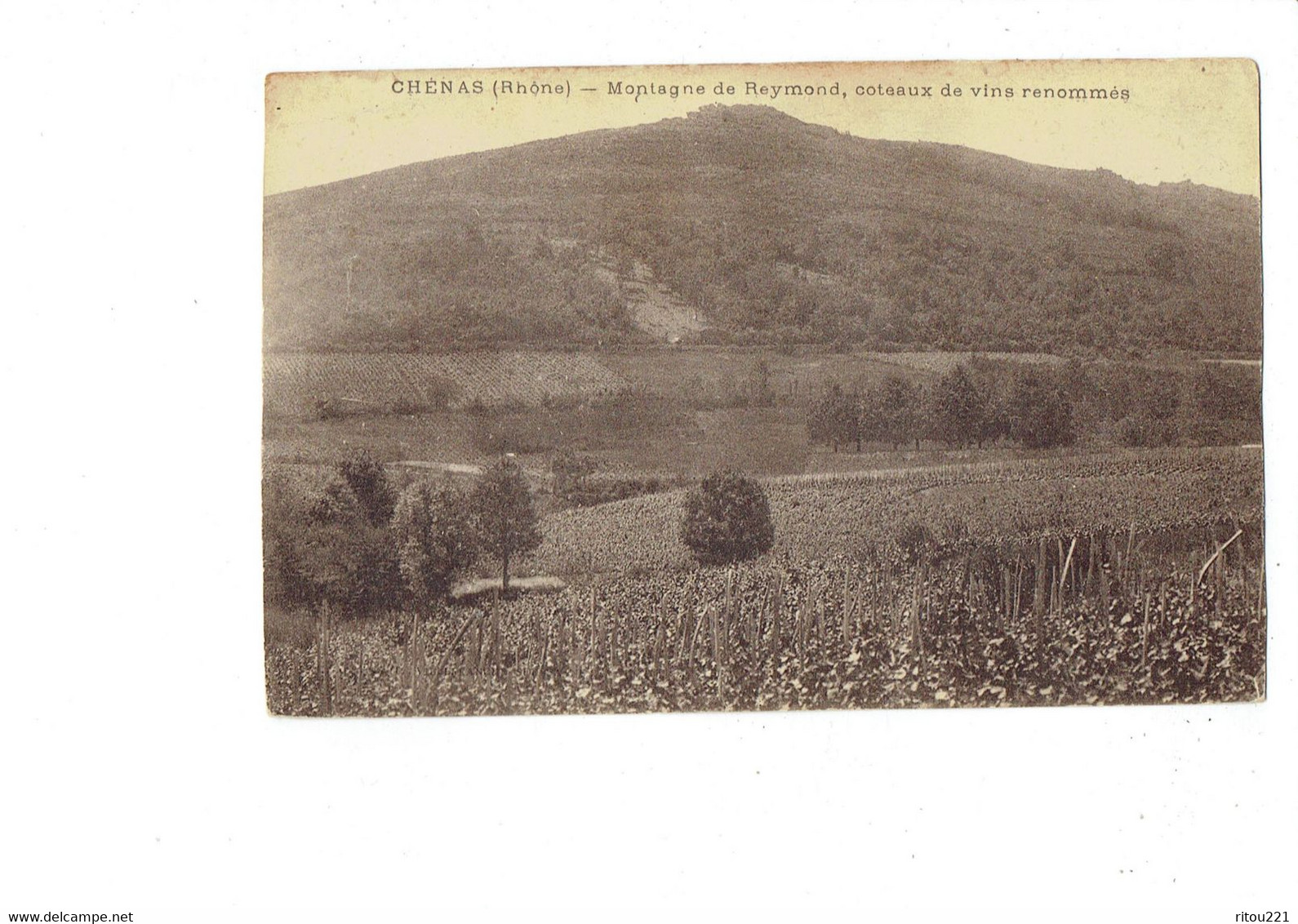 Cpa - 69 - Chenas - Montagne De Reymond Coteaux De Vins Renommés - - Chenas