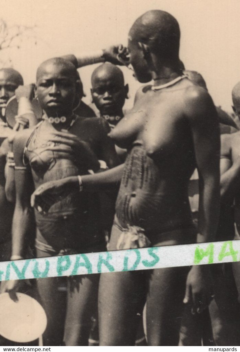 BENIN - DAHOMEY / PHOTO / 1957 / REGION DE NATITINGOU / DANSE / FEMMES / SOMBAS ??? SCARIFICATION / NU / NUS / FEMME NUE