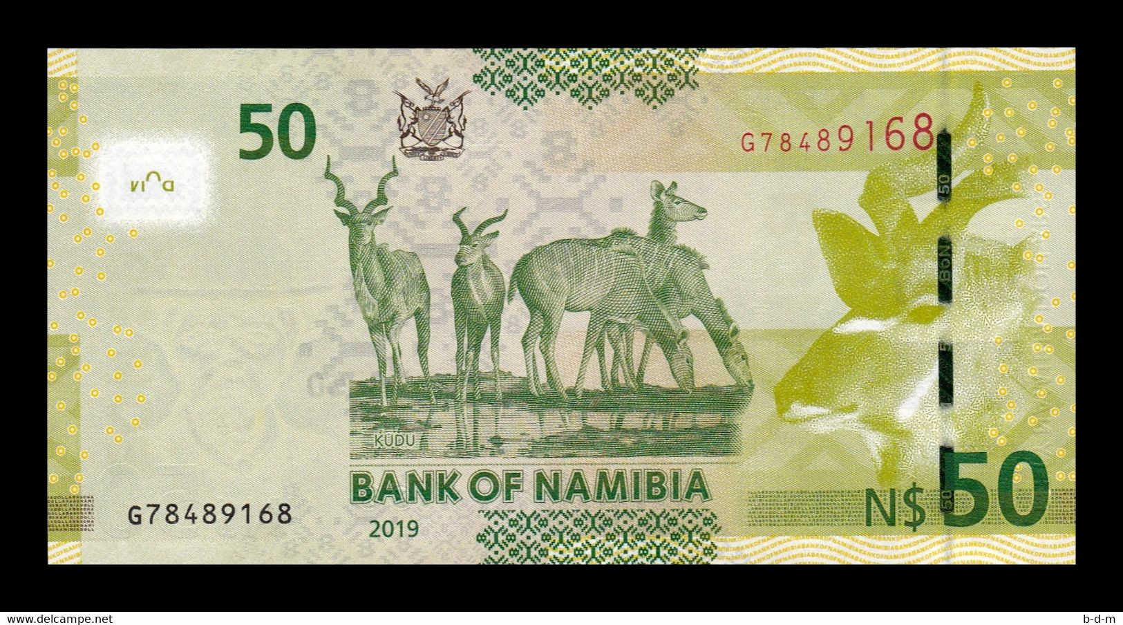 Namibia 50 Dollars 2019 Pick 13 New SC UNC - Namibie