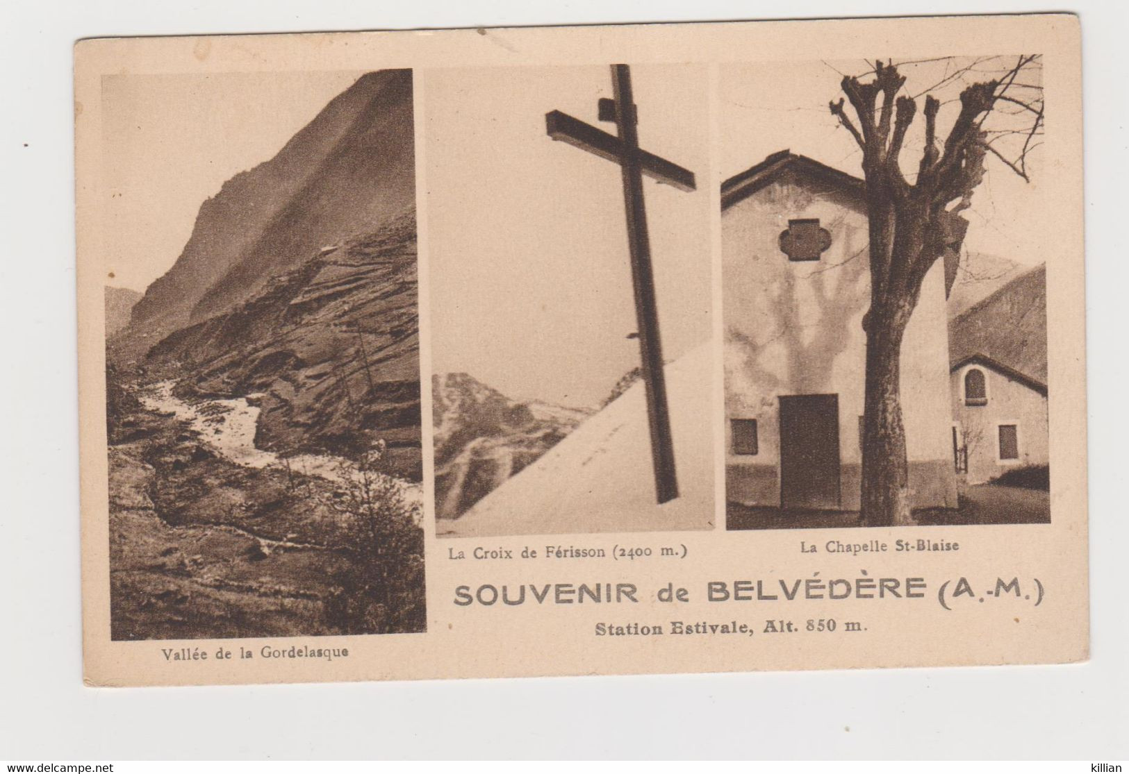 Souvenir De Belvédére - Belvédère