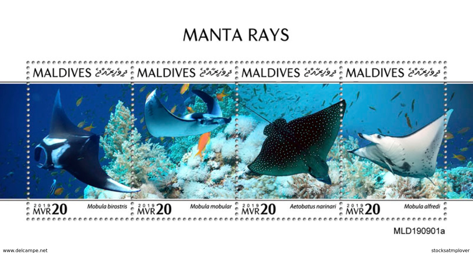 Maldives 2019 Fauna   Manta Rays  S202002 - Maldives (1965-...)
