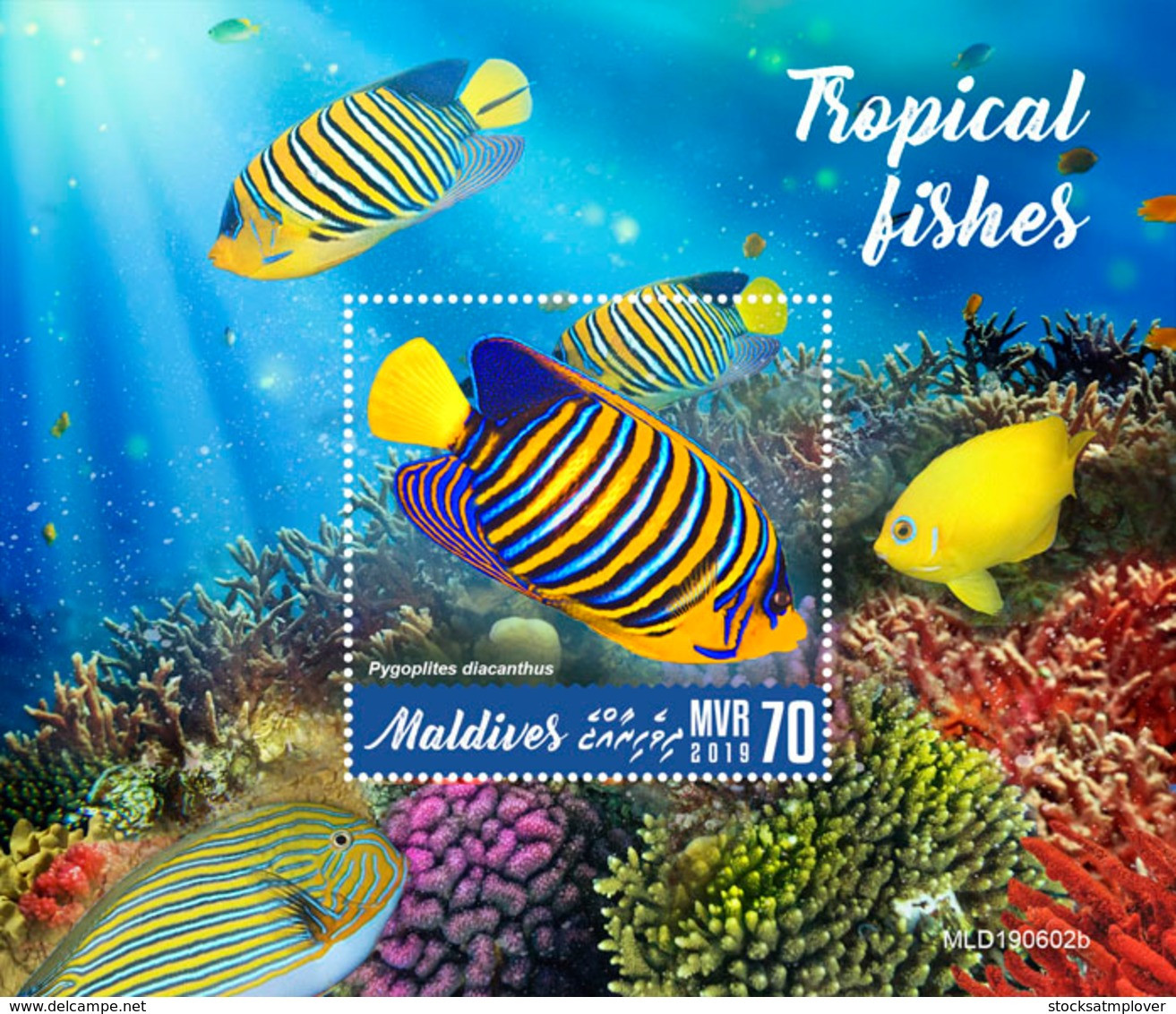 Maldives 2019  Fauna Tropical Fishes   S201909 - Maldives (1965-...)