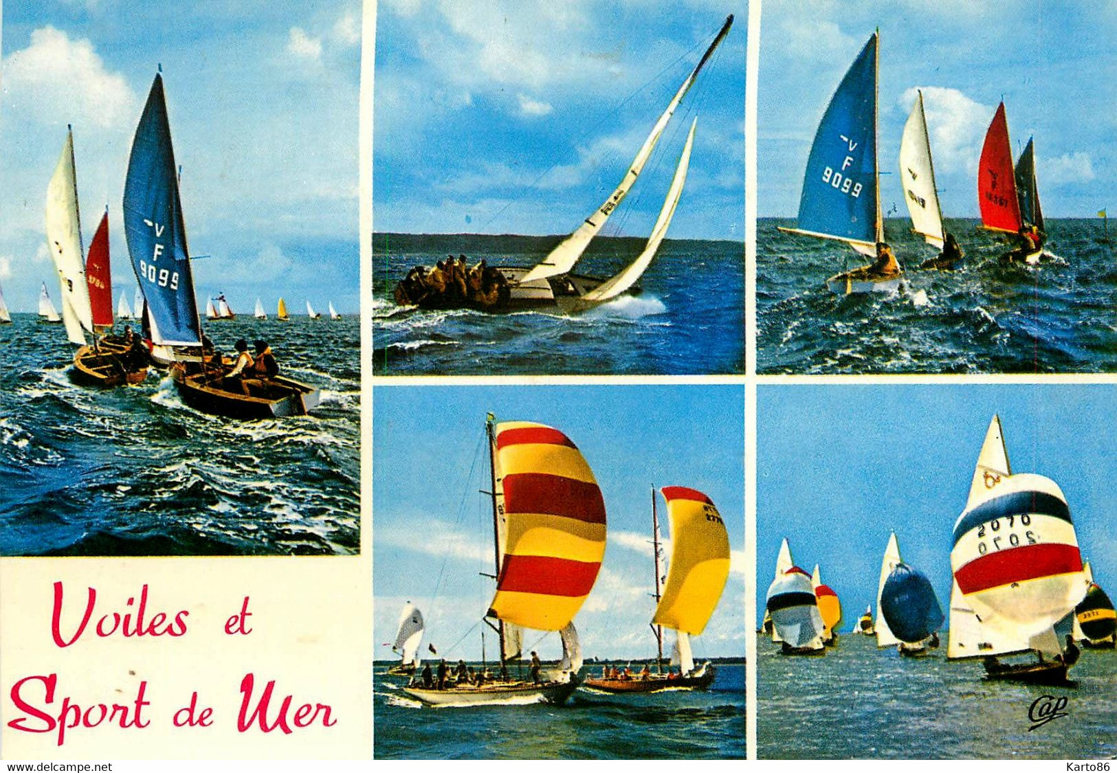 Bateau * Voile * Régates * Optimist * Sport De Mer * Multivues - Sailing