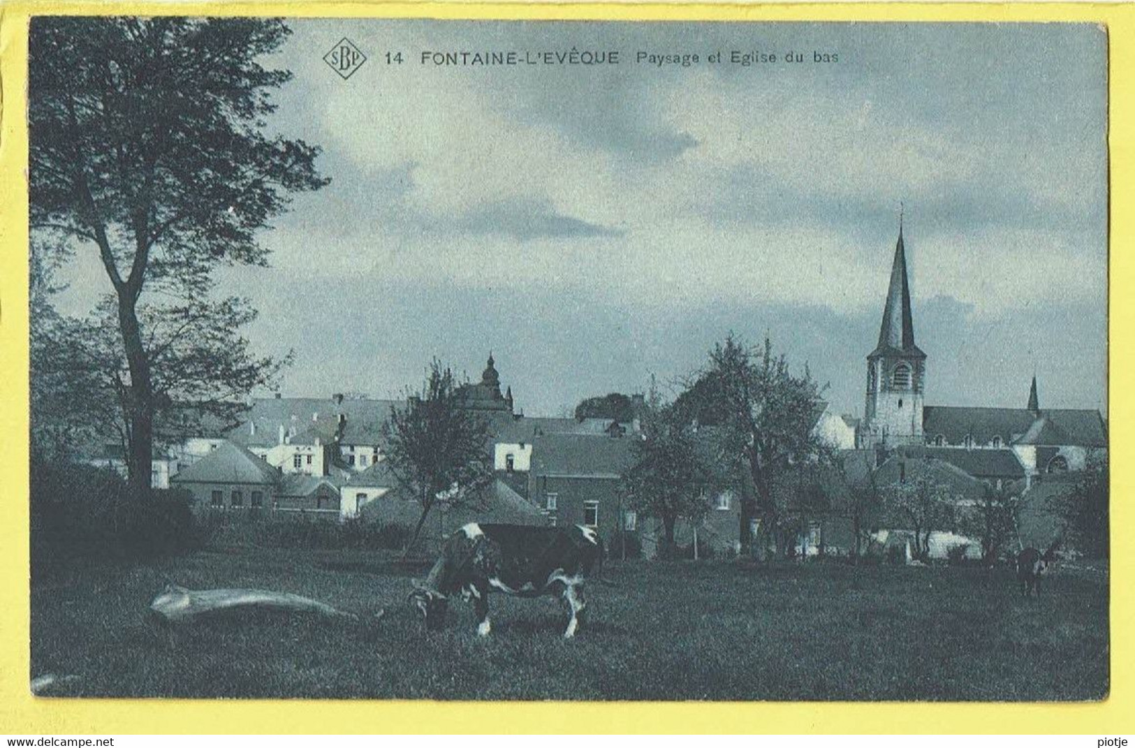 * Fontaine L'Eveque (Hainaut - La Wallonie) * (SBP, Nr 14) Paysage Et église Du Bas, Vache, Koe, Cow, Kerk, Church, TOP - Fontaine-l'Evêque