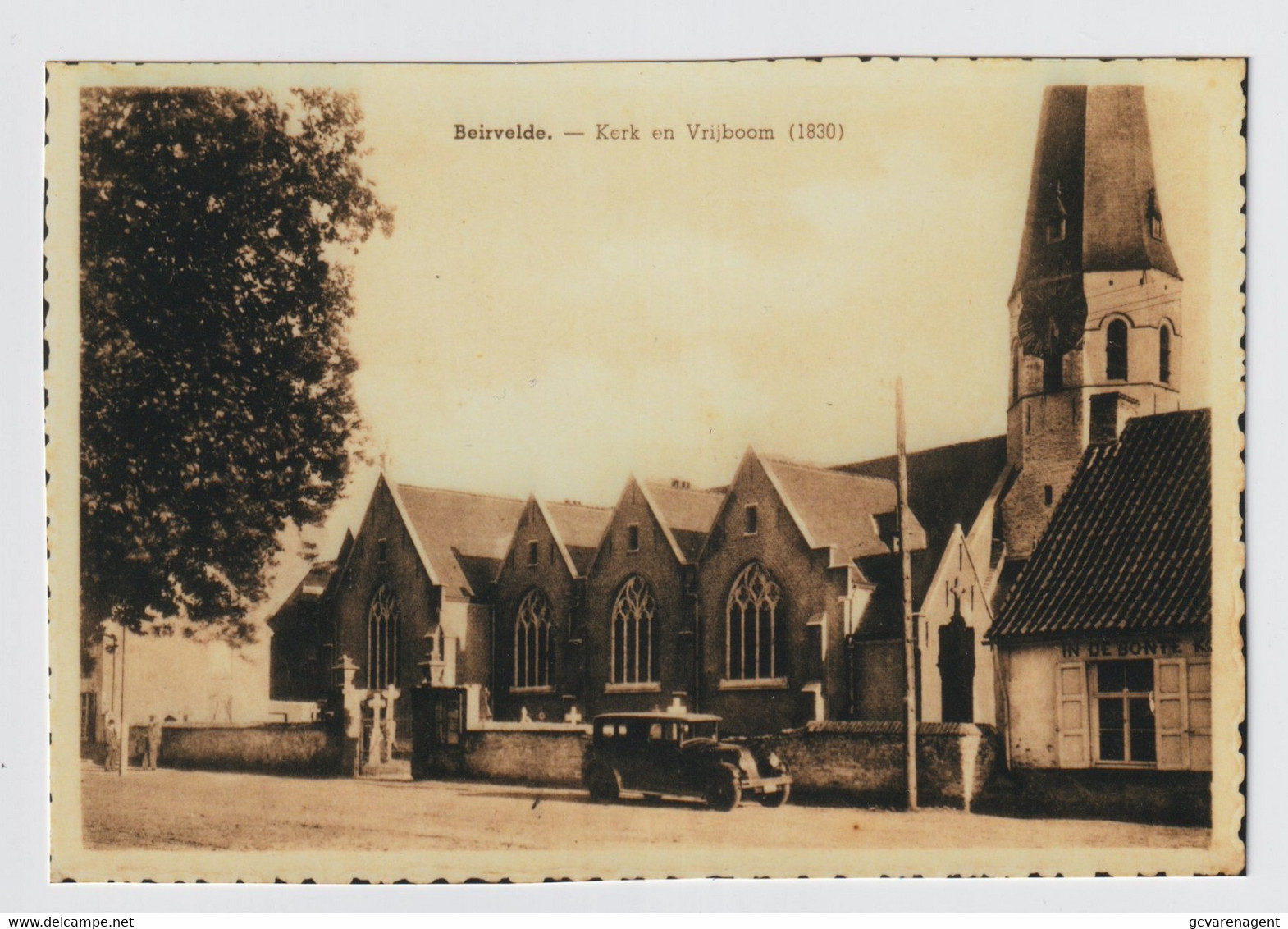 BEERVELDE  FOTO GEMAAKT +- 1980 VAN OUDE POSTKAART  ==  KERK EN VRIJBOOM - Lochristi