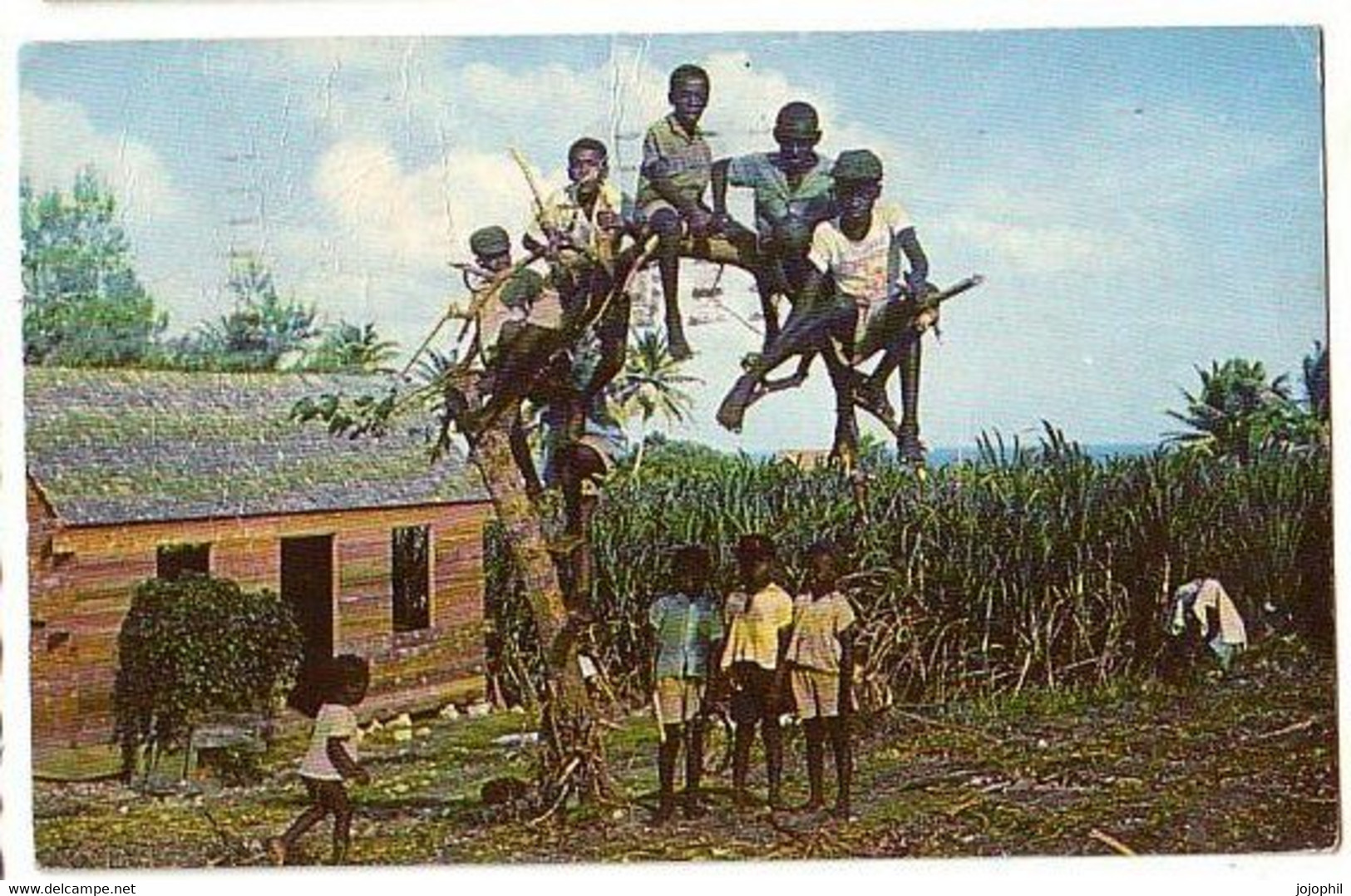 Barbados - Native Children At Play - Saint Joseph - Circulé 1961 - Antigua En Barbuda