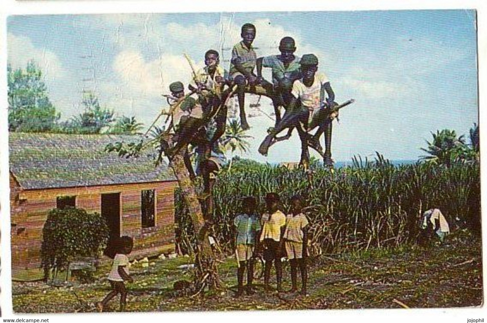 Barbados - Native Children At Play - Saint Joseph - Circulé 1961 - Antigua & Barbuda