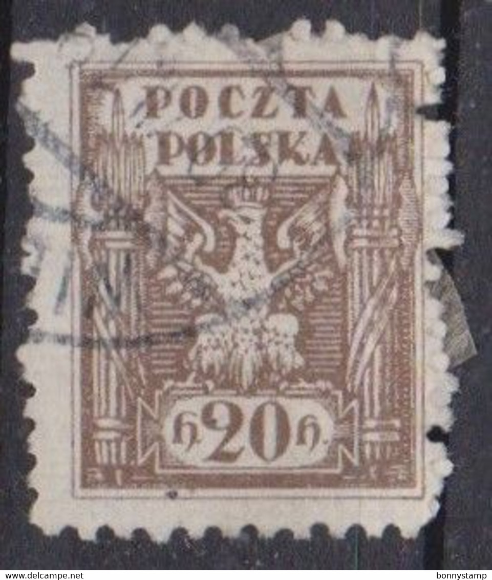 Polonia, 1919 - 20h Eagle And Fasces - Nr.125 Usato° - ...-1860 Préphilatélie