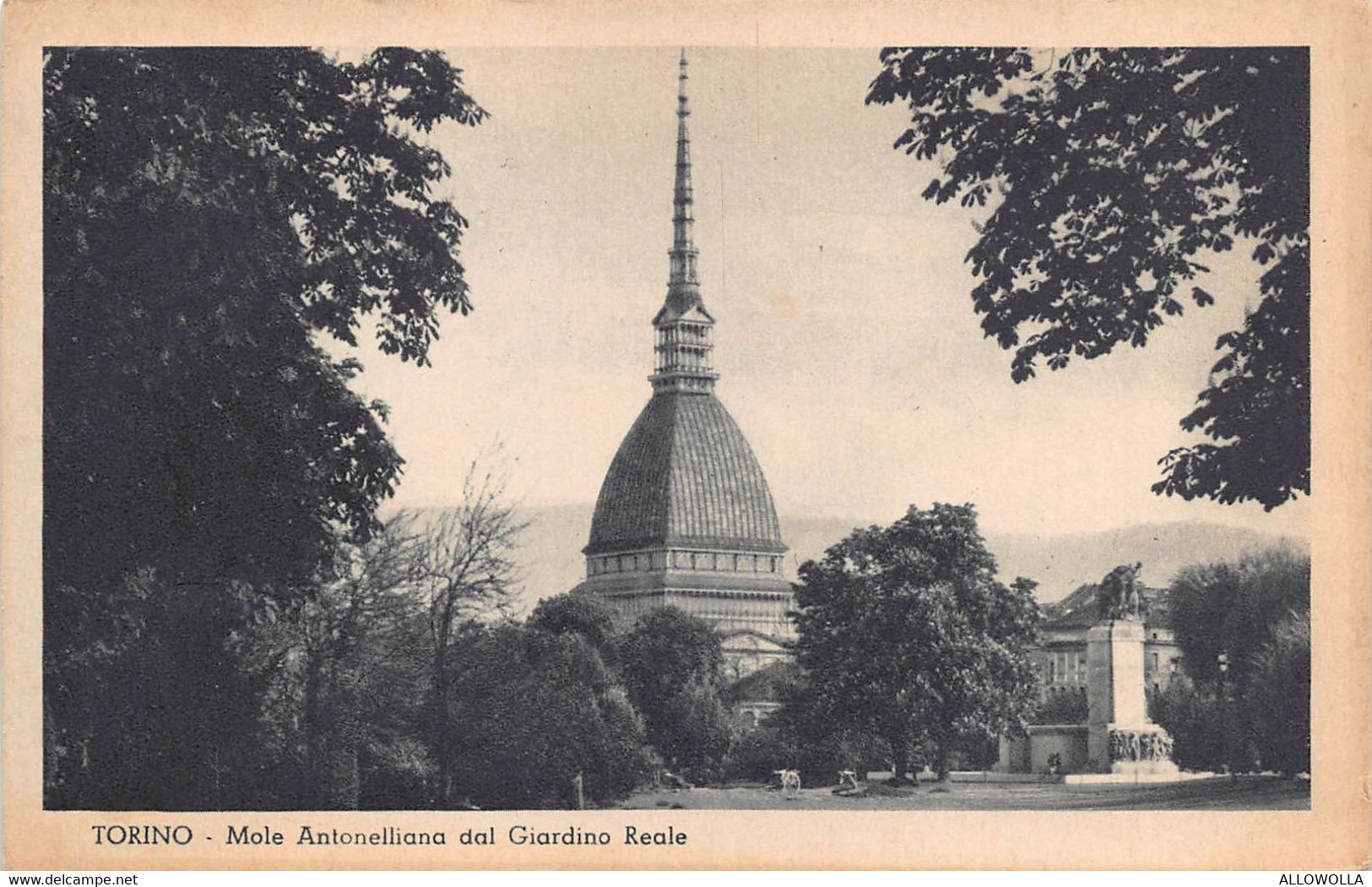 11290" TORINO-MOLE ANTONELLIANA DAL GIARDINO REALE " -VERA FOTO-CARTOLINA NON SPEDITA - Mole Antonelliana