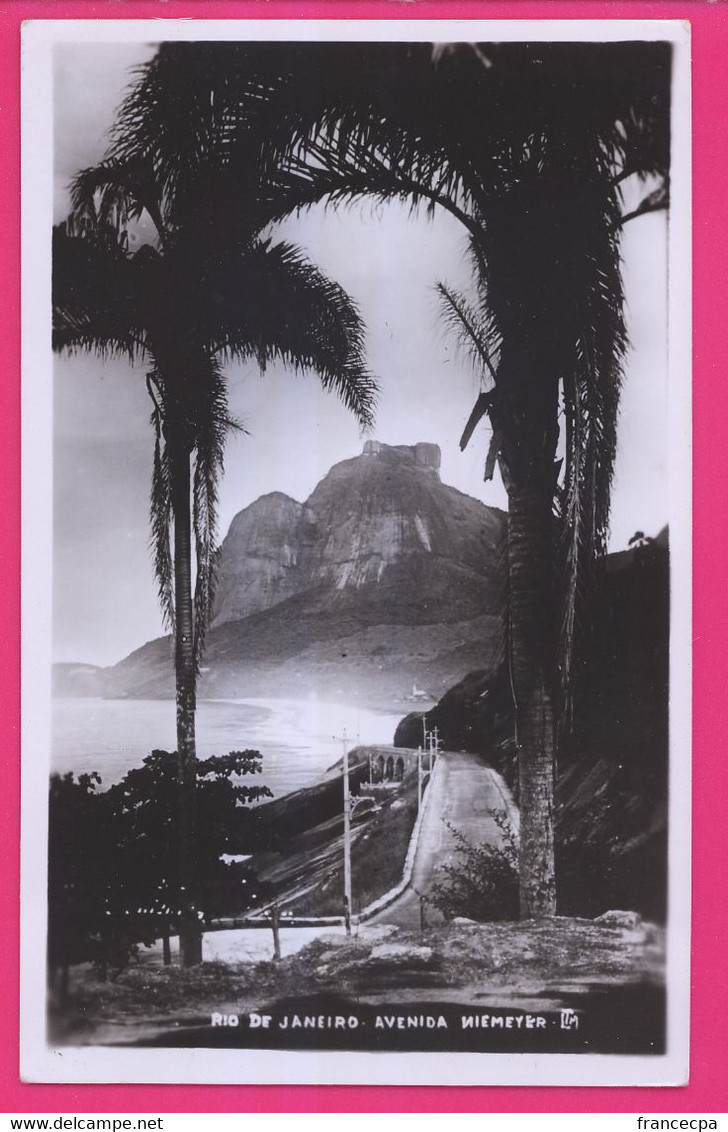 PTS - 034 - Carte Photo - BRESIL - RIO DE JANEIRO - Alto Da Boa Vista - Boa Vista