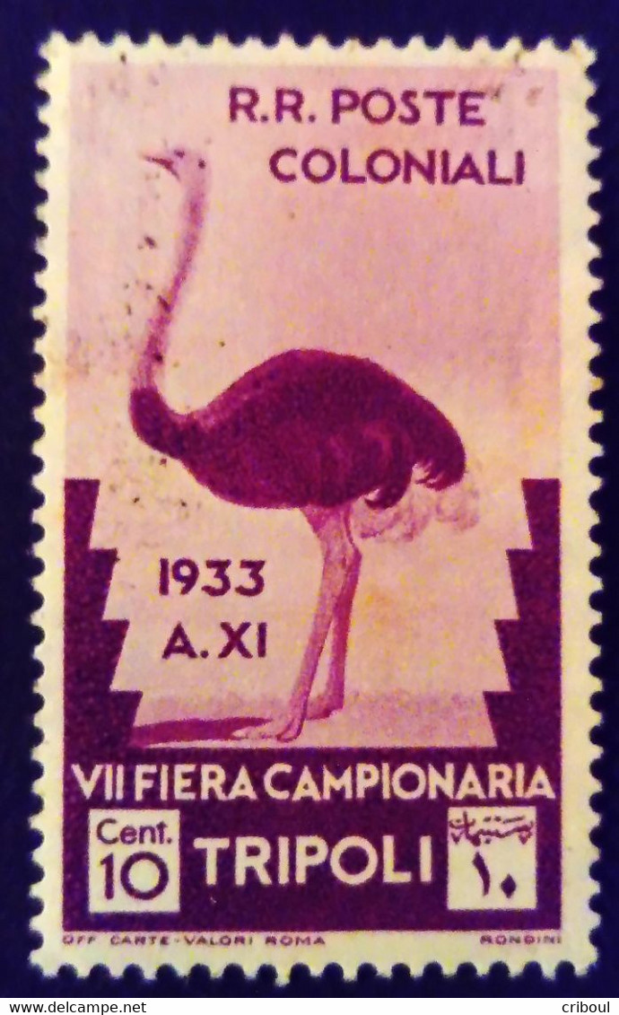 Tripolitaine Tripolitania Occupation Italienne 1933 Animal Oiseau Bird Autruche Ostrich Yvert 135 * MLH - Straussen- Und Laufvögel