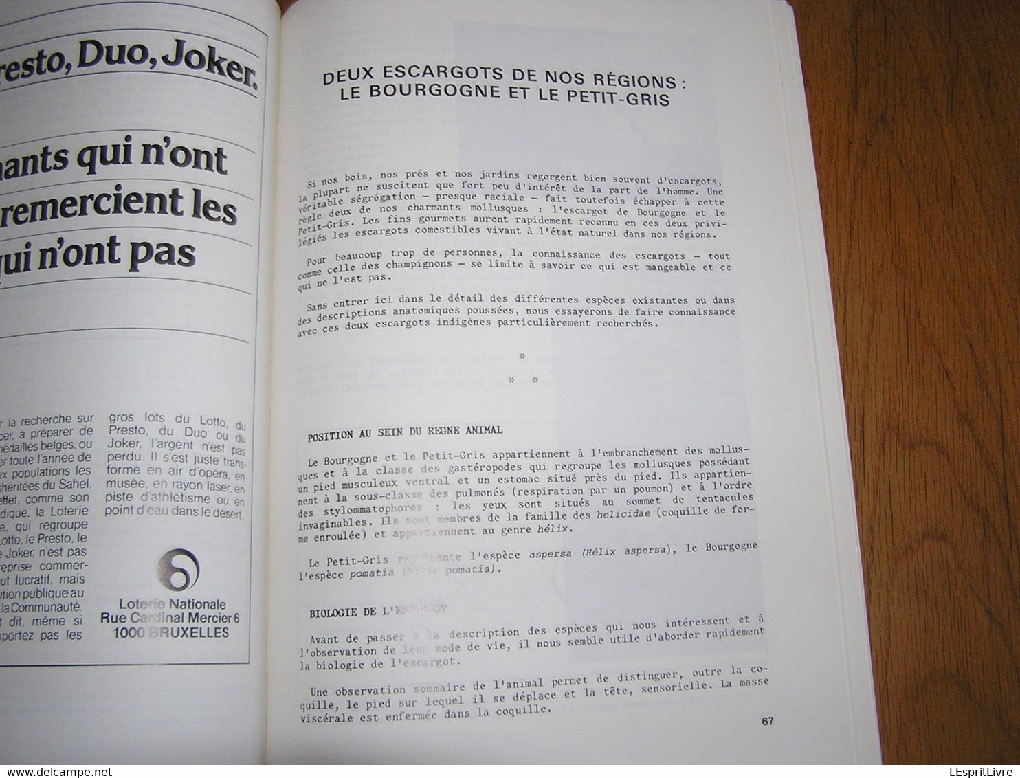 DE LA MEUSE A L'ARDENNE N° 7 1988 Régionalisme Semois Marcourt Sur Ourthe Marchets Rochefort Ambly Mirwart Escargot