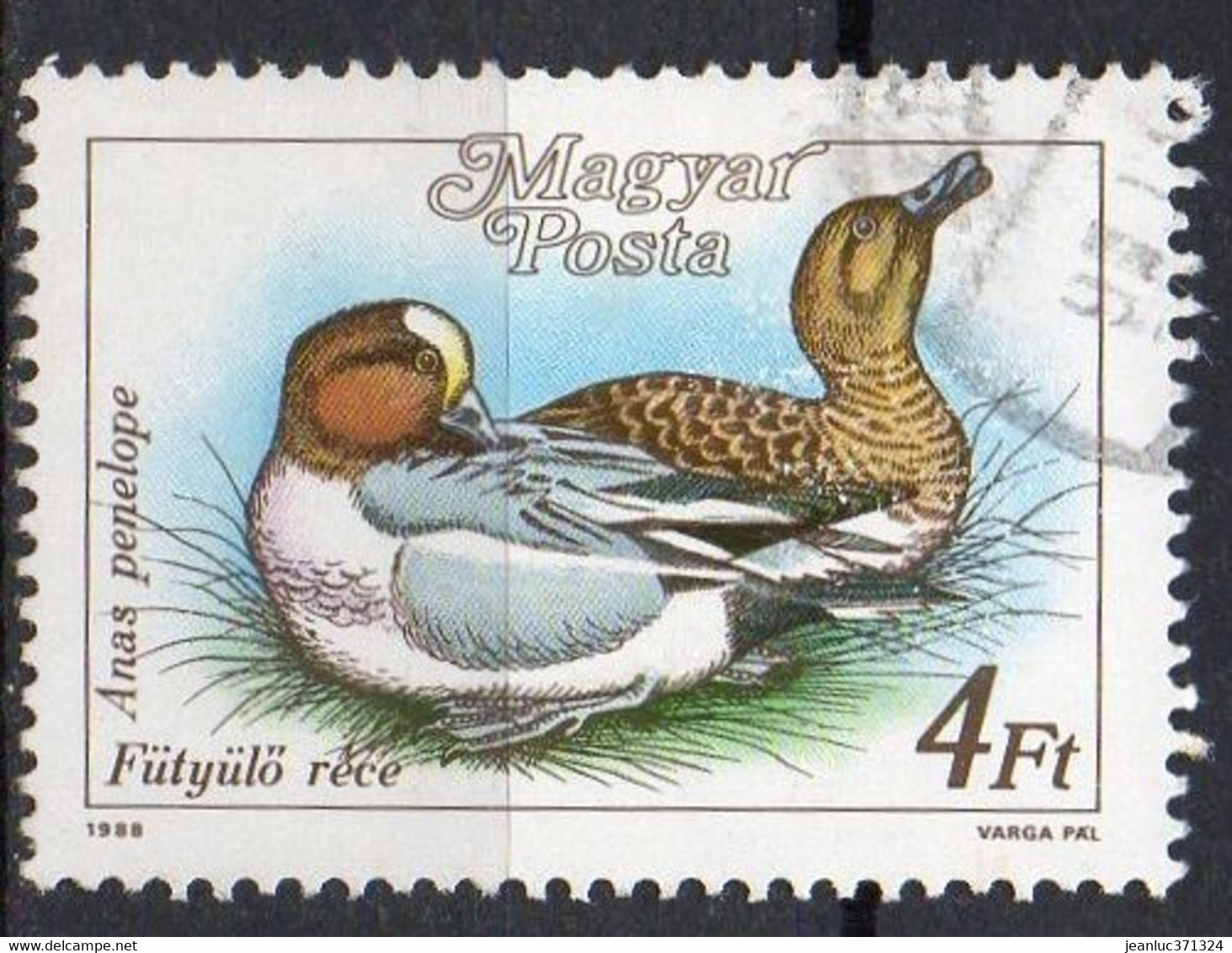 HONGRIE N° 3174 O Y&T 1988 Canards Siffleurs (Anas Penelope) - Andere & Zonder Classificatie