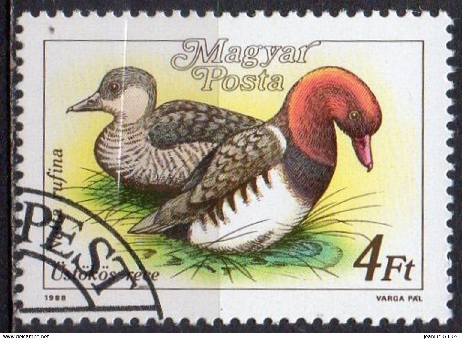 HONGRIE N° 3175 O Y&T 1988 Canards Sauvage (Nette Rousse) - Andere & Zonder Classificatie