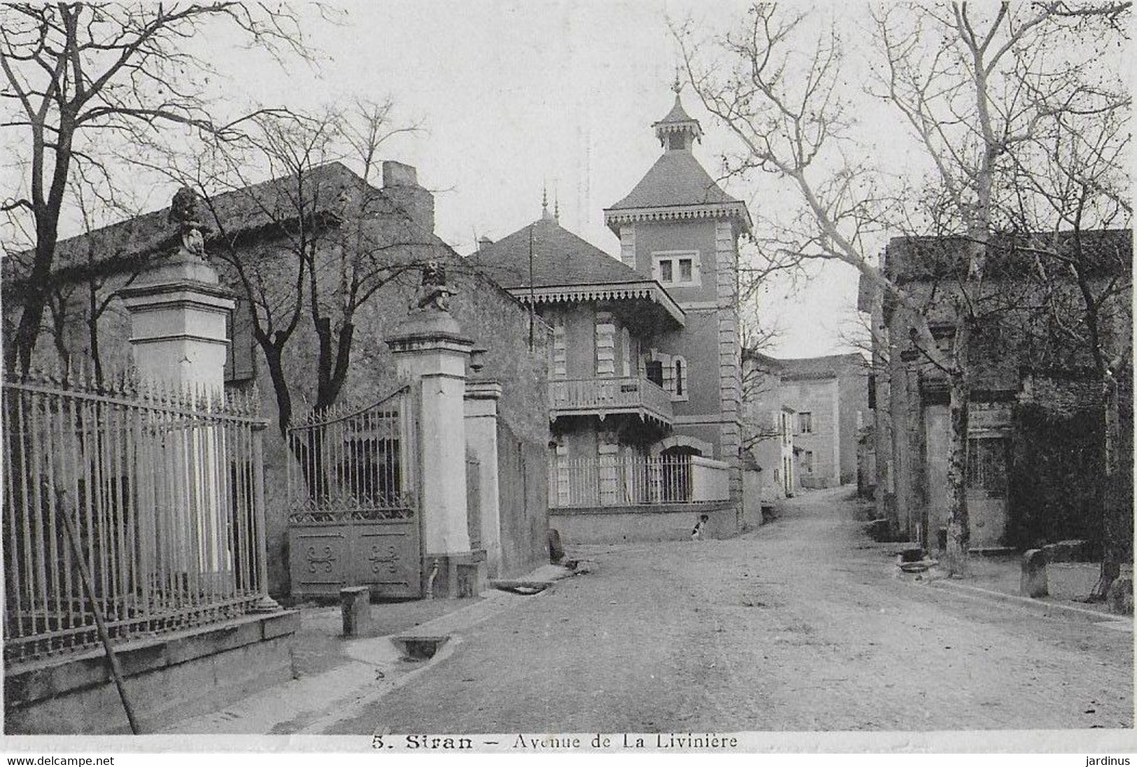 SIRAN : Avenue De La Livinière  ( 1908) - Autres & Non Classés