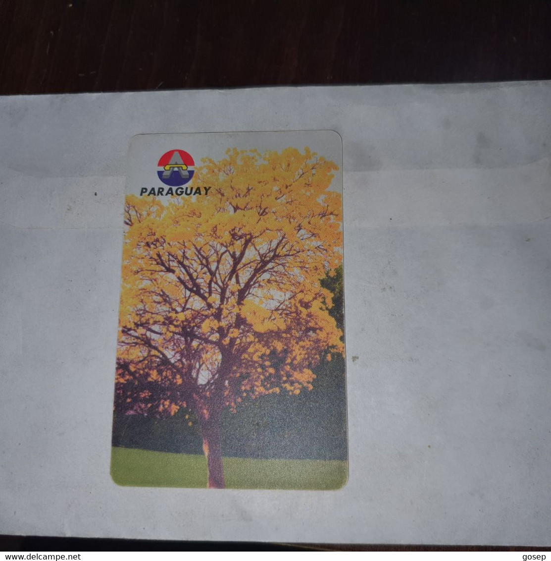 Paraguay-(par-a16)-(30 Impulsos)-(03725753)-(11)-chip Card+1card Prepiad Free - Paraguay