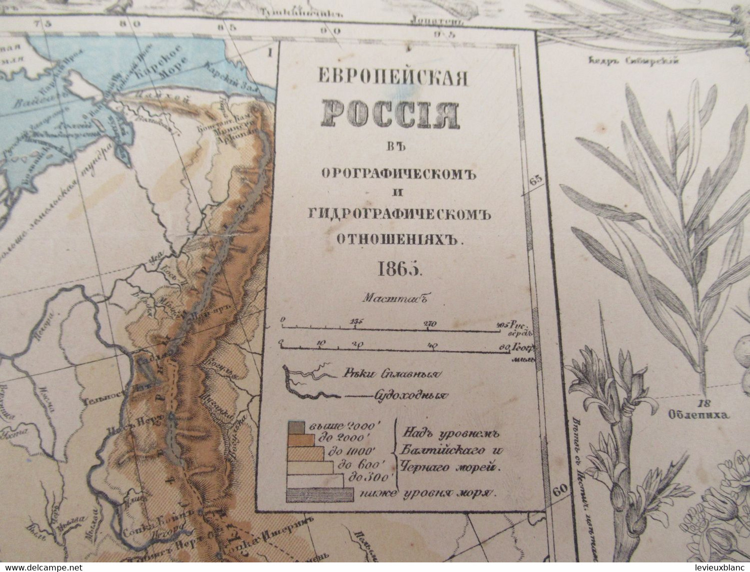 Carte Géographique Ancienne/Russie /Physique Et Hydrographique/Avec Bordure De Faune Et De Flore/1865  PGC376 - Idiomas Eslavos