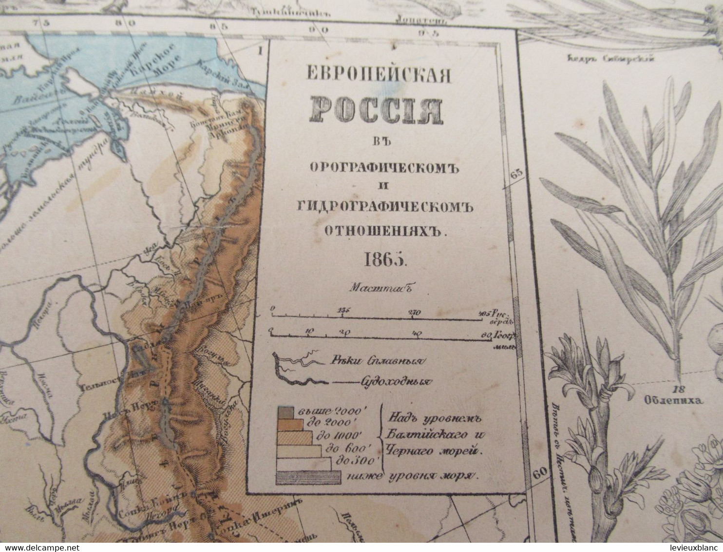 Carte Géographique Ancienne/Russie /Physique Et Hydrographique/Avec Bordure De Faune Et De Flore/1865  PGC376 - Slawische Sprachen