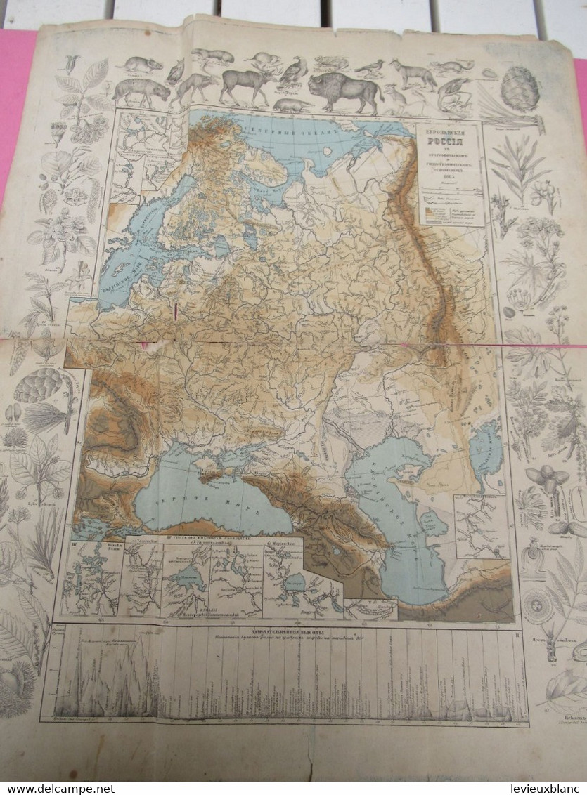 Carte Géographique Ancienne/Russie /Physique Et Hydrographique/Avec Bordure De Faune Et De Flore/1865  PGC376 - Slawische Sprachen