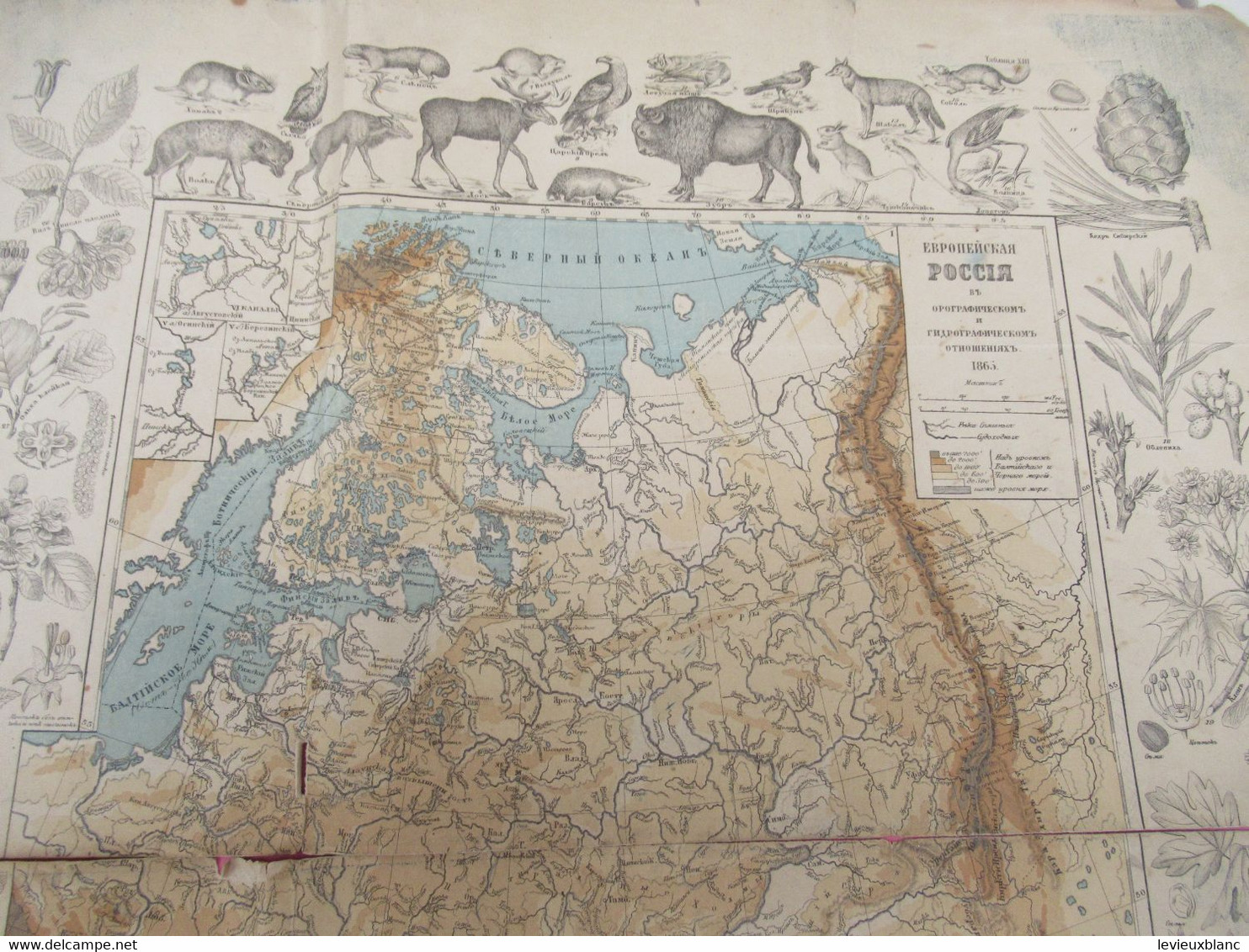 Carte Géographique Ancienne/Russie /Physique Et Hydrographique/Avec Bordure De Faune Et De Flore/1865  PGC376 - Lingue Slave