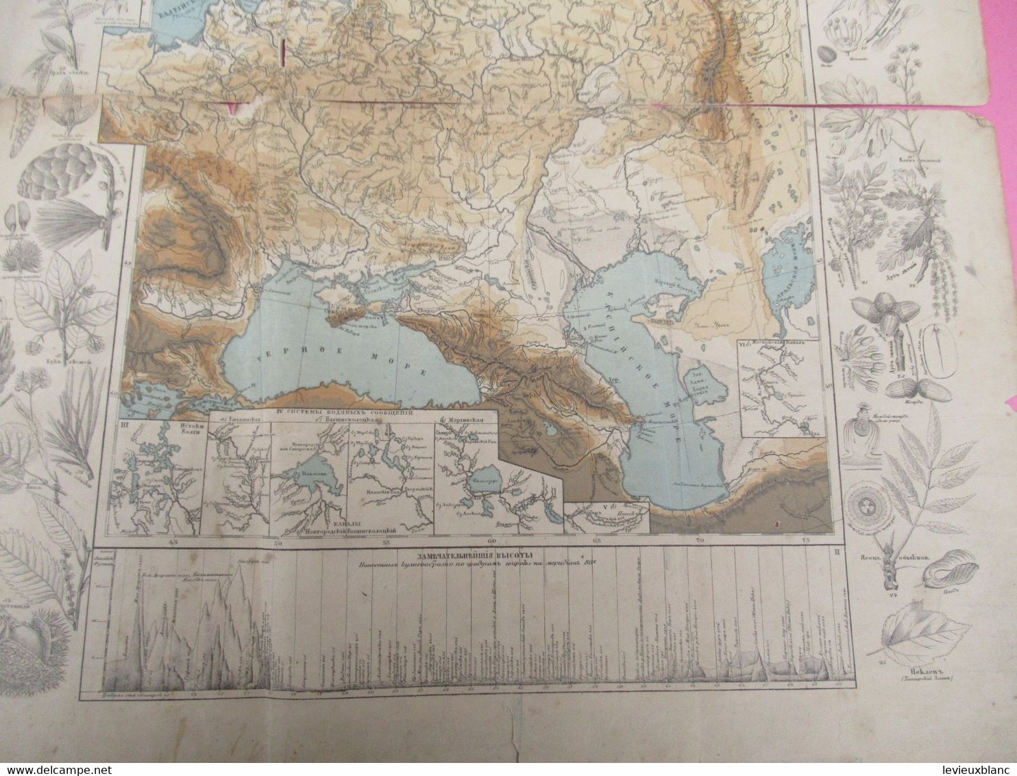 Carte Géographique Ancienne/Russie /Physique Et Hydrographique/Avec Bordure De Faune Et De Flore/1865  PGC376 - Slavische Talen