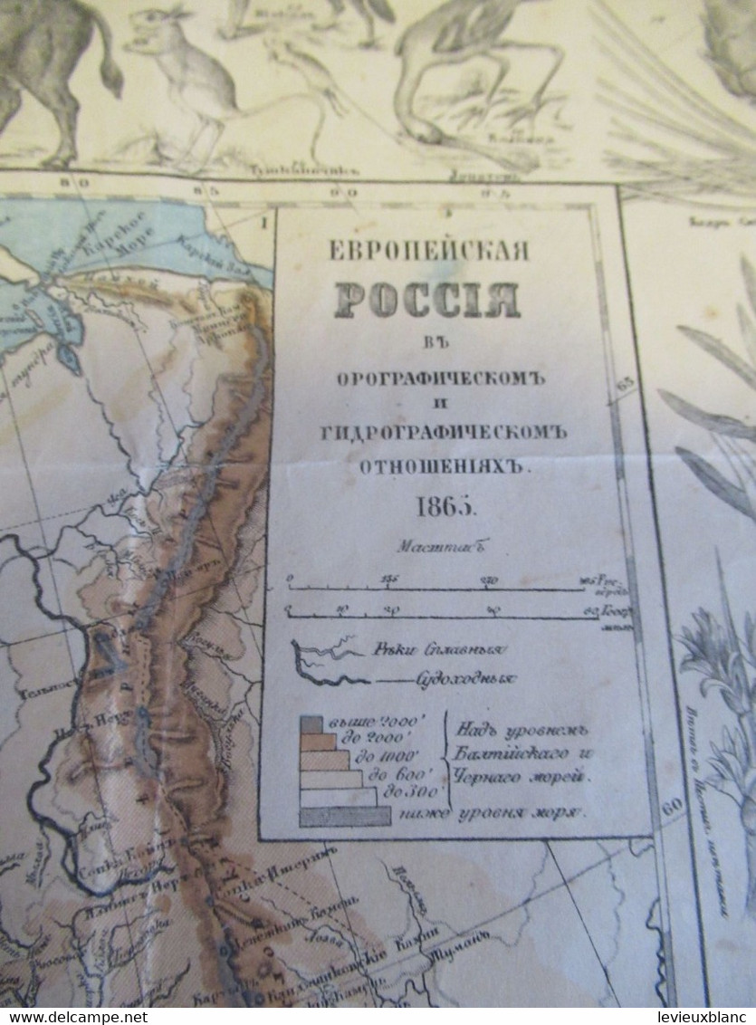Carte géographique ancienne/Russie /Physique et hydrographique/Avec bordure de Faune et de Flore/1865  PGC376
