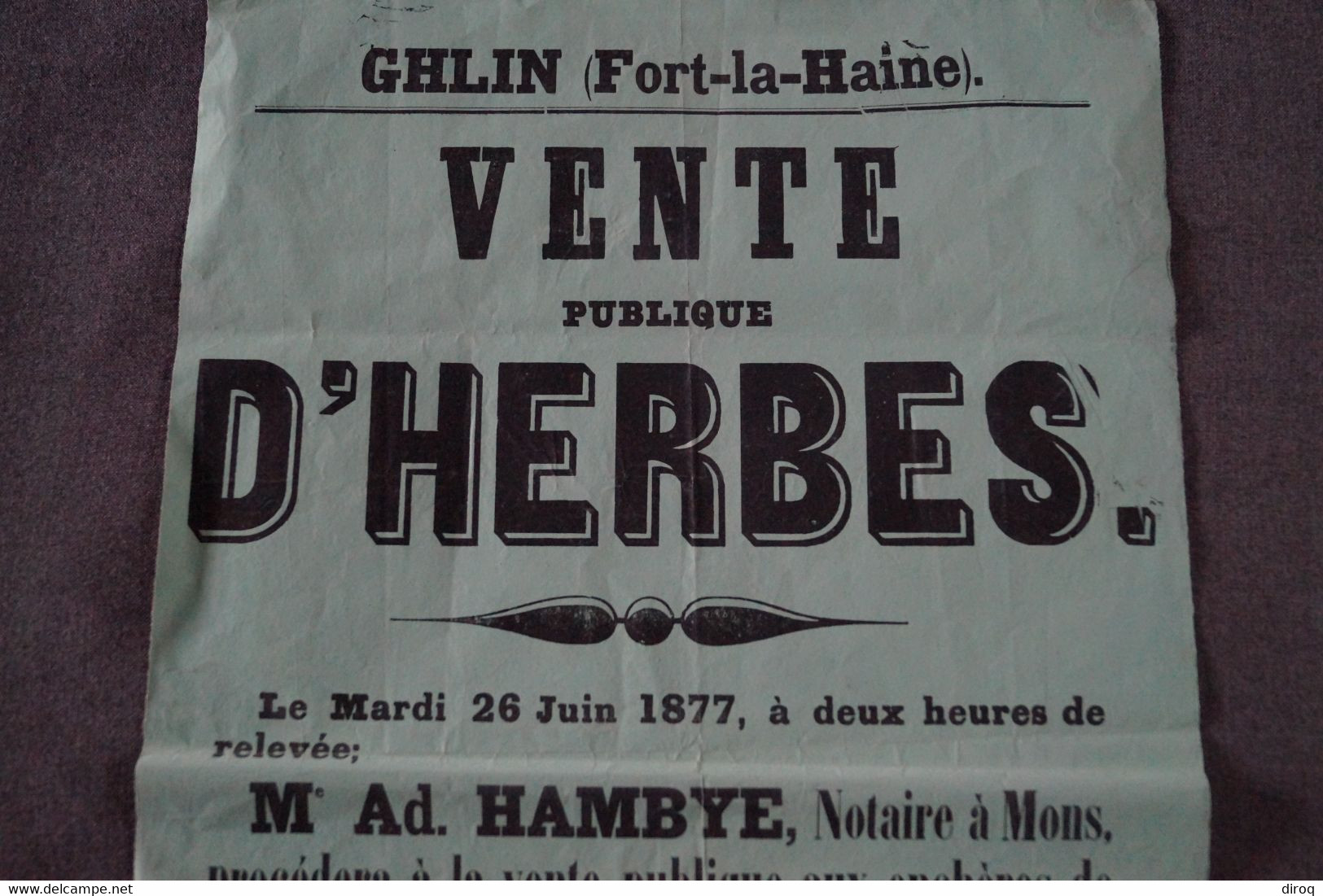 RARE Ancienne Affiche Originale Du 26/06/1877,Ghlin,Fort-La-Haine,vente à Herbes,notaire Hambye Adm. - Affiches