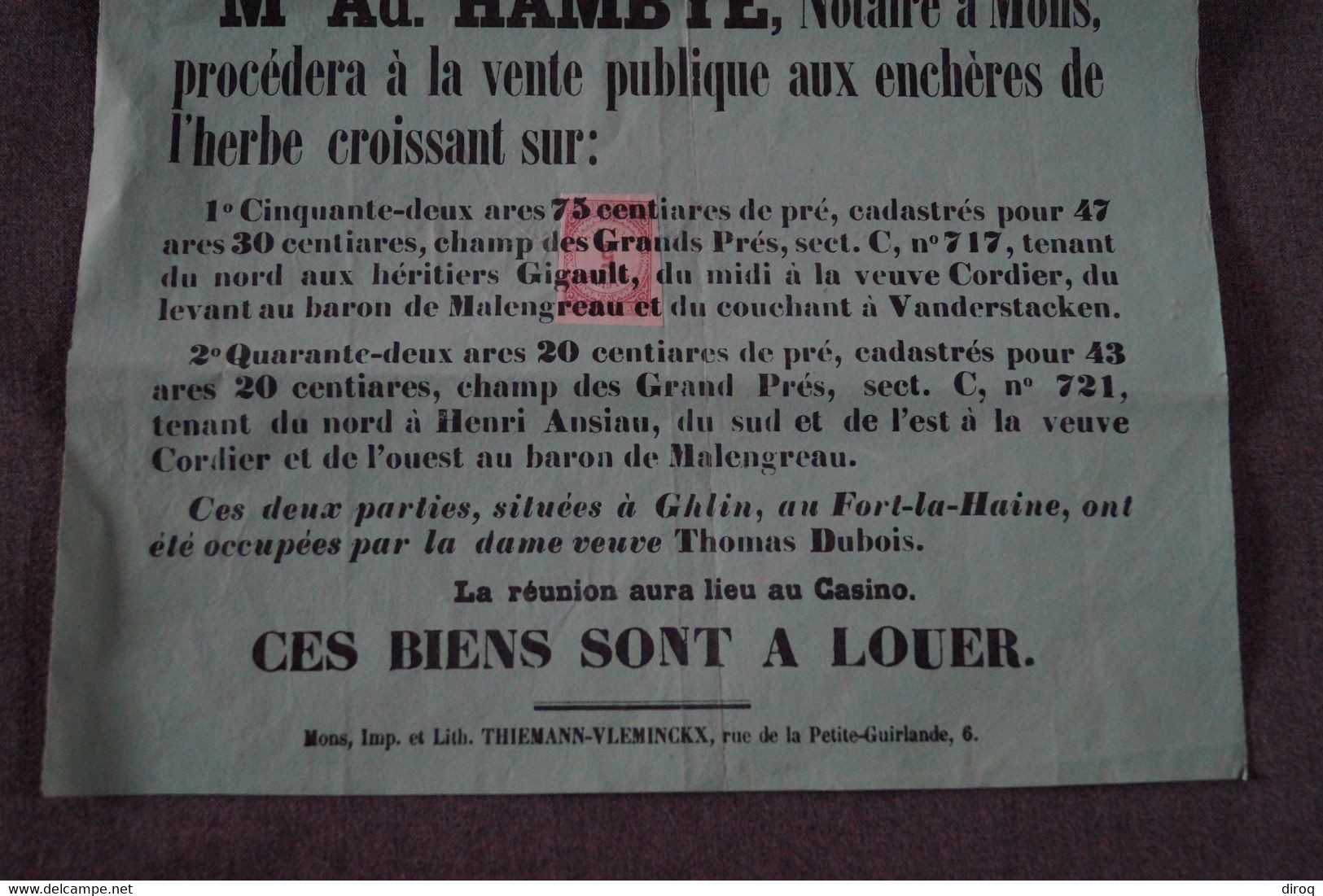 RARE Ancienne Affiche Originale Du 26/06/1877,Ghlin,Fort-La-Haine,vente à Herbes,notaire Hambye Adm. - Plakate