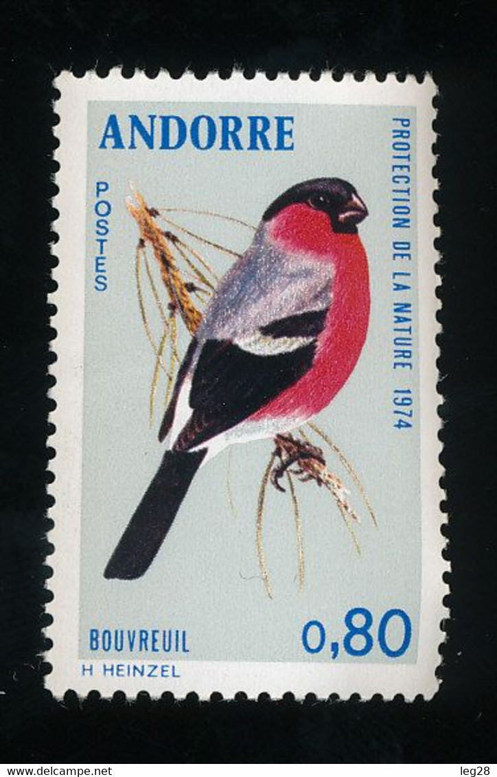 OISEAU  BOUVREUIL - Sonstige & Ohne Zuordnung