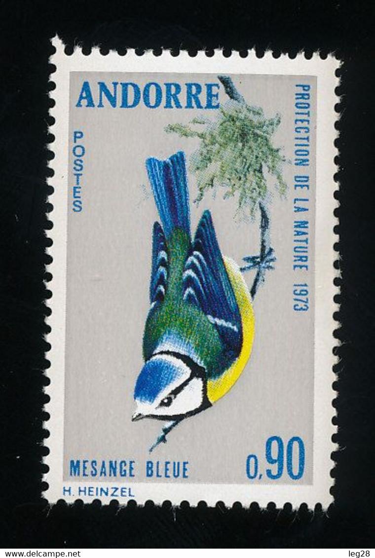 OISEAU  MESANGE BLEUE - Sonstige & Ohne Zuordnung