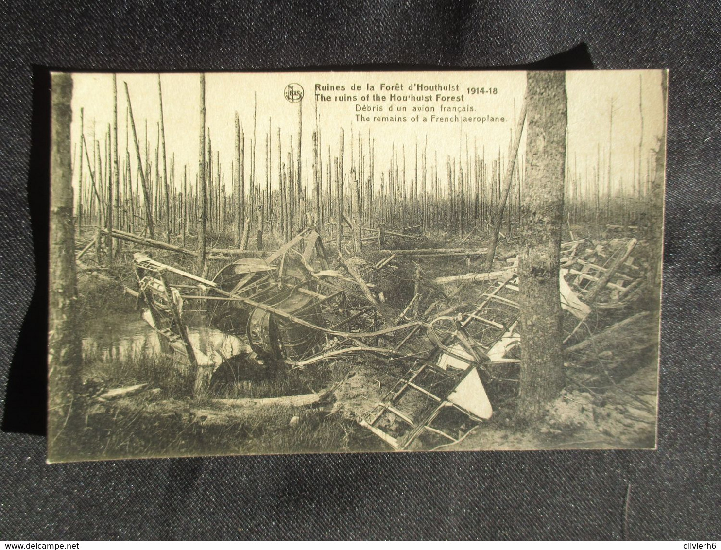 LOT 3 CP MILITARIA (M1708) RUINES DE LA FORET D'HOUTHULST (5 Vues) 1914-18 - Houthulst