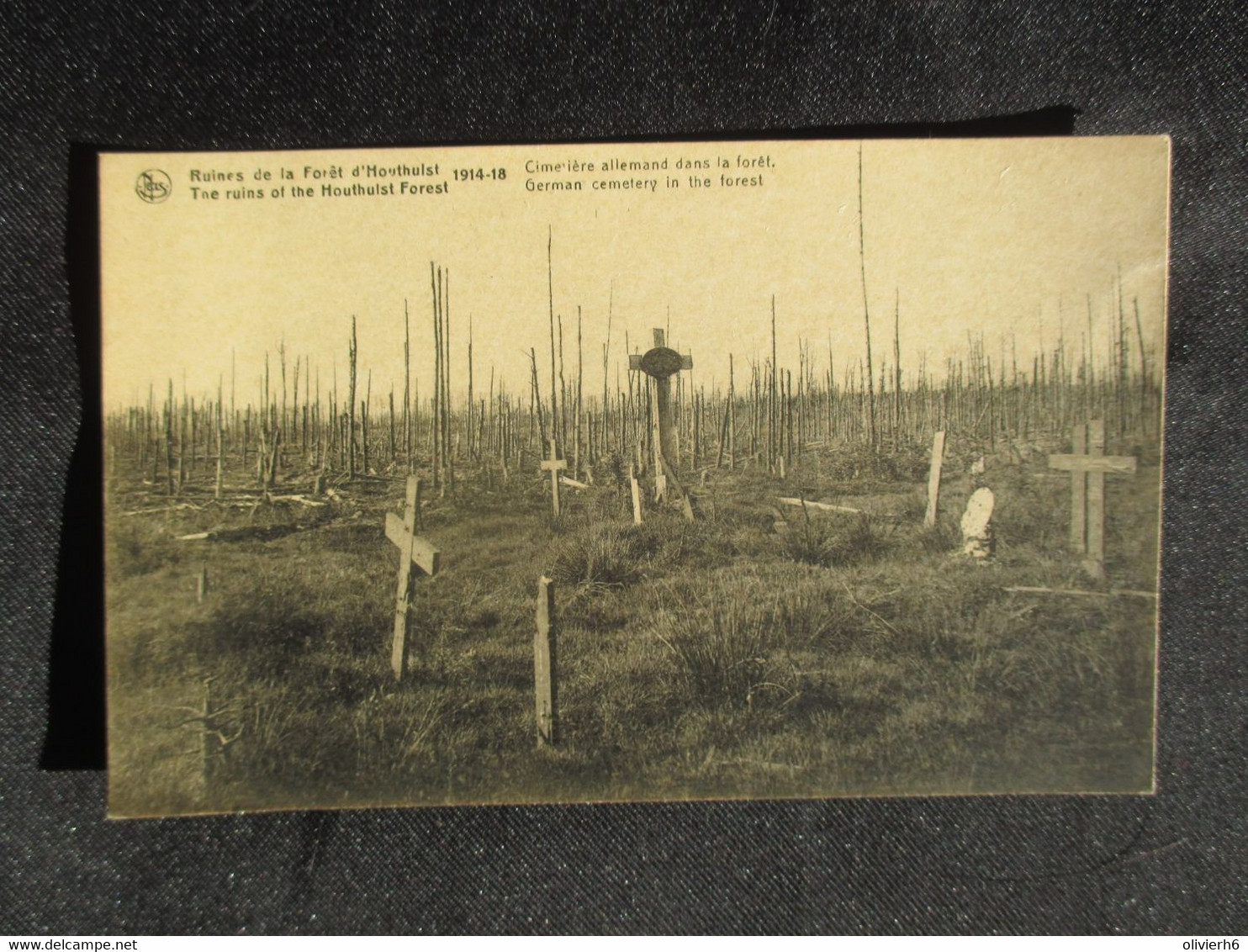 LOT 3 CP MILITARIA (M1708) RUINES DE LA FORET D'HOUTHULST (5 Vues) 1914-18 - Houthulst