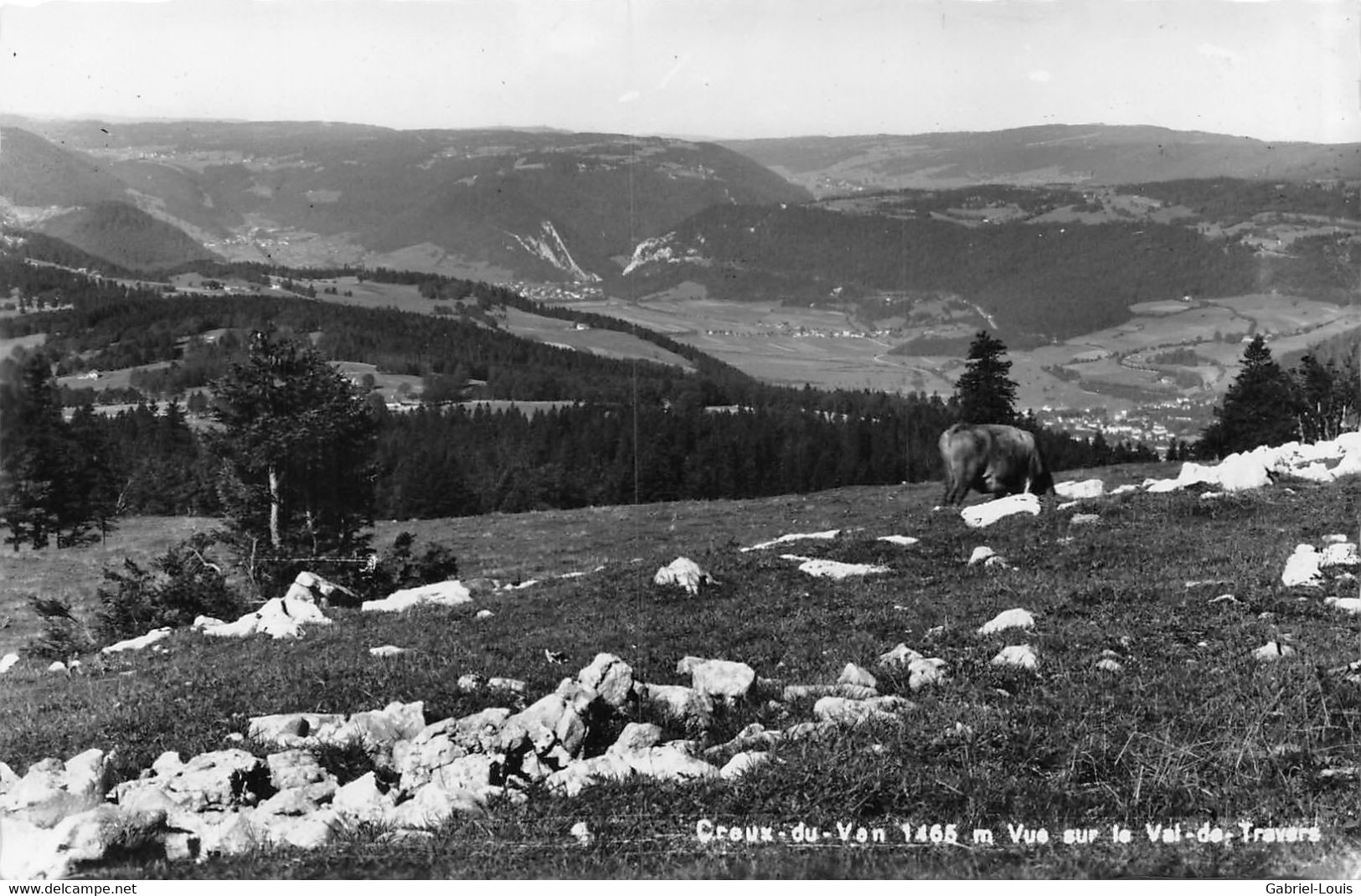 Creux Du Vent Vue Sur Le Val De Travers - Vache - Travers