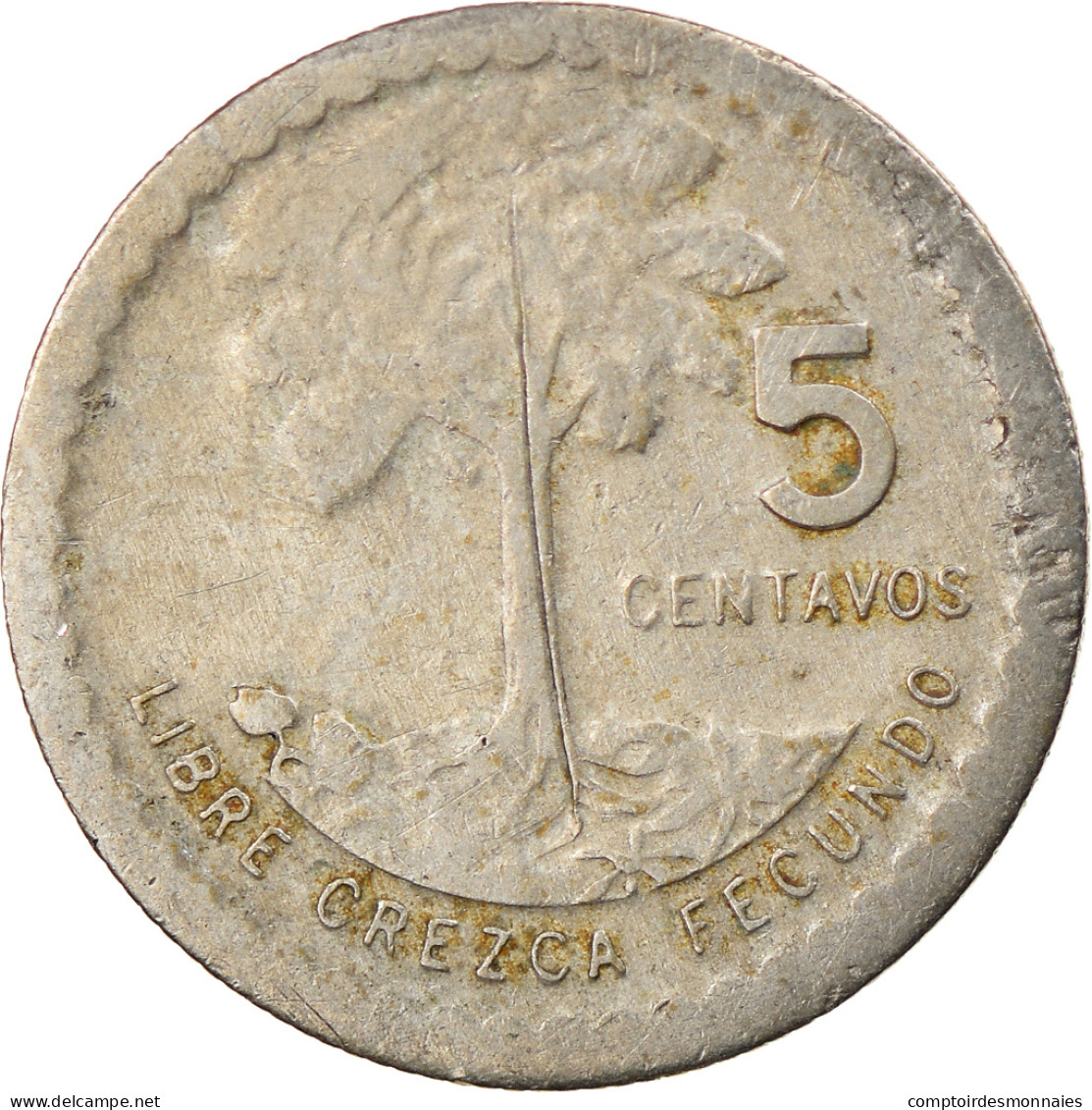 Monnaie, Guatemala, 5 Centavos, 1977, TB+, Copper-nickel, KM:270 - Guatemala