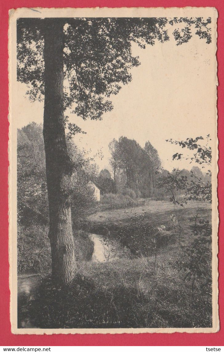 Gistoux - Vers Le Moulin - 1943 ( Voir Verso ) - Chaumont-Gistoux