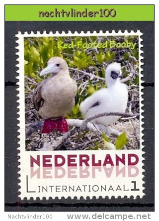 FG175 2 Scans PERSOONLIJKE POSTZEGEL PERSONAL STAMP VOGELS RED- AND BLUE-FOOTED BOOBY BIRD AVES OISEAUX NEDERLAND PF/MNH - Marine Web-footed Birds