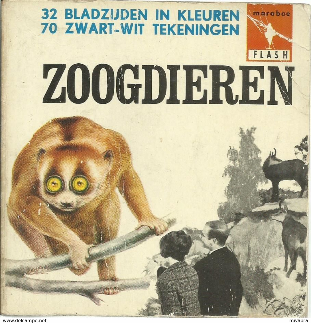 ZOOGDIEREN - MARABOE FLASH N° 58 - 1964 - Pratique