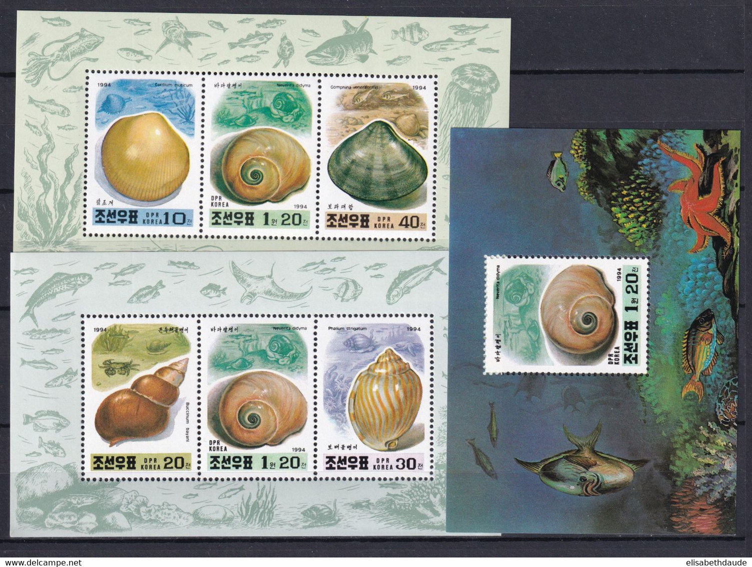 KOREA - FAUNE MARINE / COQUILLAGES - 1994 - SERIE COMPLETE YVERT N° BLOCS 172/174 ** MNH - COTE = 15 EUR. - Corée Du Nord